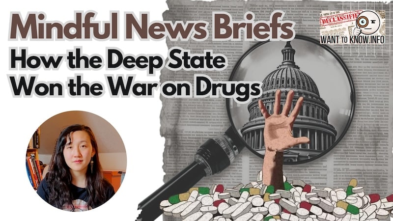 How The Deep State Won the War on Drugs